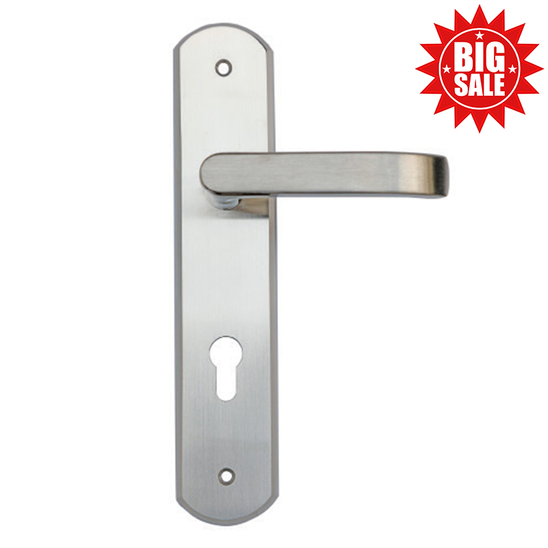 Lever handle on backplate, SS201-J1