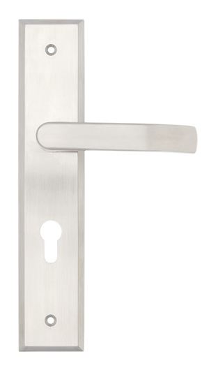 Lever handle on backplate